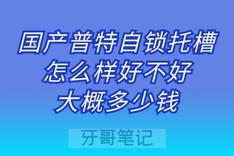 国产普特自锁托槽怎么样好不好大概多少钱