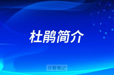 青岛优诺博士口腔杜鹃简介