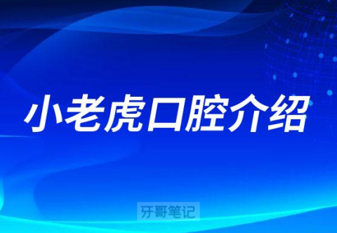 小老虎口腔介绍